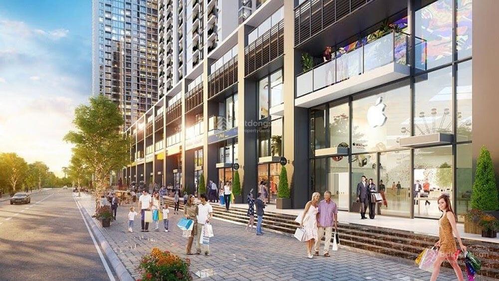 Nhà đầu tư săn đón shophouse khối đế 2 tầng mặt tiền trần hưng đạo để làm gì trong thời điểm này ?