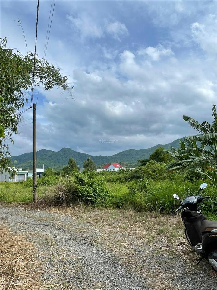 Bán đất châu pha tp. hồ chí minh diện tích 330m2, giá 1,450 tỷ