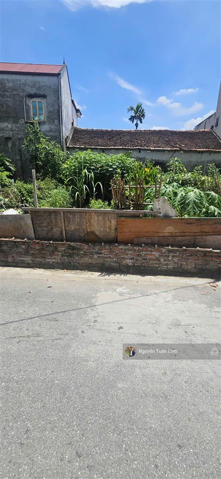 Hoa hậu 55m2 bến trung, bắc hồng đường lớn 6m ô tô tránh mặt tiền rộng kinh doanh