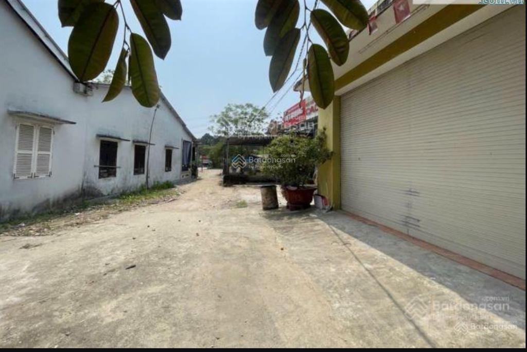 Bán 210m2 (ngang 10m) đất xây trọ, làm kho xưởng cạnh làng đại học huế đường võ văn kiệt tp huế