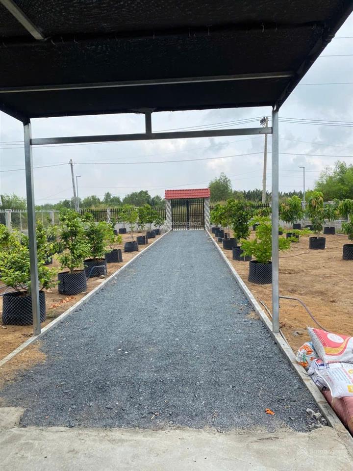 Bán 1500m2 nhà vườn xe hơi tới đất xã bình khánh