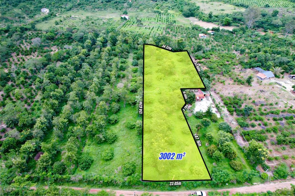 Vườn vải giá rẻ hơn 3000m2 chỉ 629tr tại eaning, đắk lắk