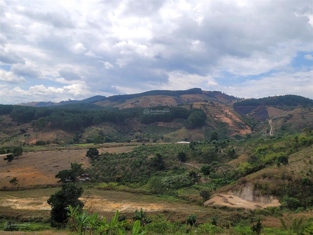 Bán đất tại cam ly, đà lạt, 4,5 tỷ, 6525 m2, giá siêu hời, uy tín