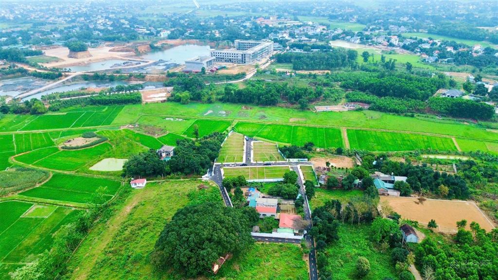 Bán đất 100m2 trại hồ cổ đông sơn tây sổ đỏ riêng đường nhựa chỉ 1,7 tỉ