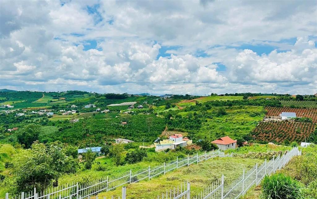 Bán lô đất vườn giáp thị trấn định quán 1091m2 (15mx82m) cách quốc lộ 20 900m chỉ 595 triệu