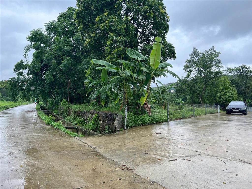 Đất hai mặt đường, góc ngã tư, ô tô tránh. diện tích 1000m2