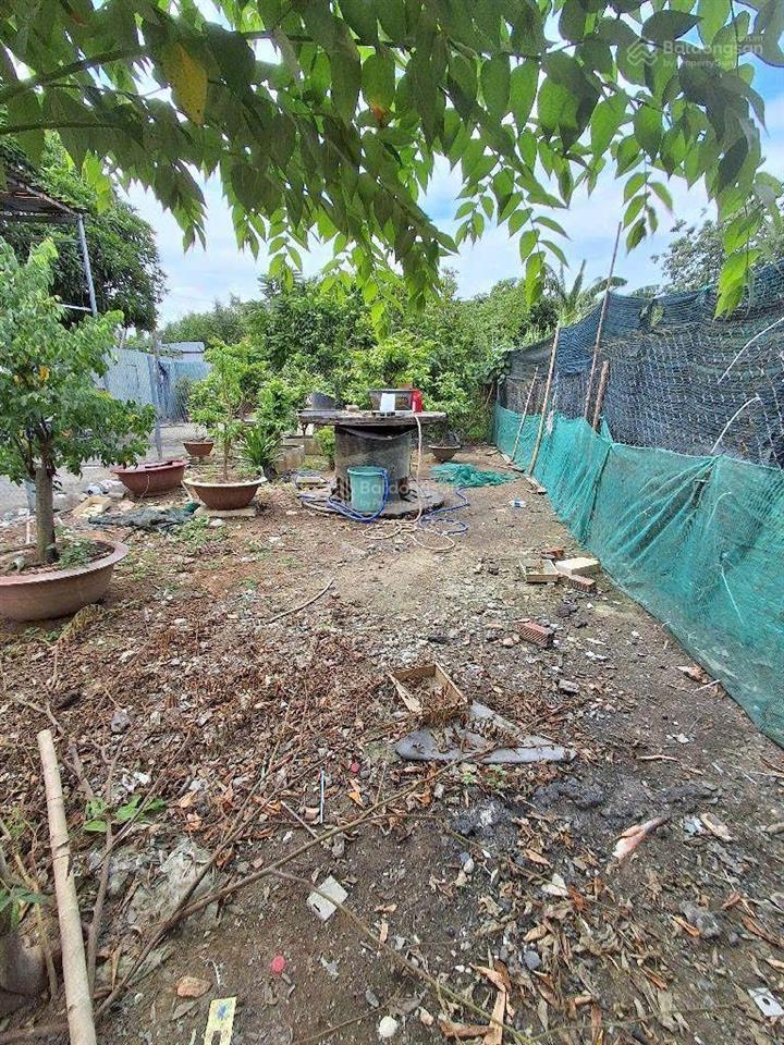 Nhà bè lô đất 600m2 xe tải tới nơi shr phù hợp xây nhà vườn chỉ 4tỷ4