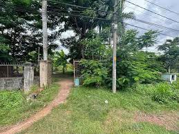 Bán đất đường phạm thị quới 1.250m²