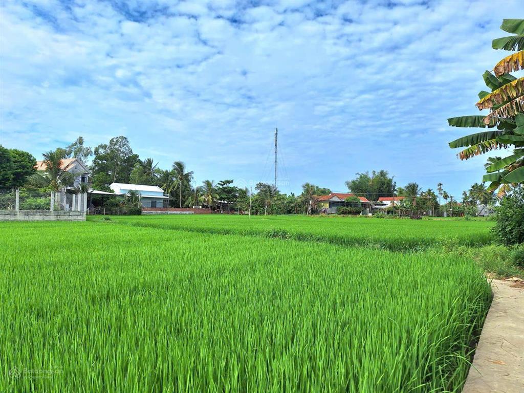 Chính chủ cần bán lô đất giá rẻ 395 triệu, 158 mv tại tinh khê quảng ngãi. đường oto