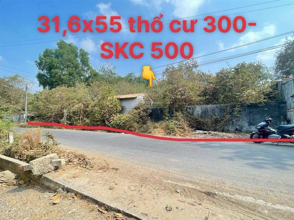 Bán gấp đất 31,6x55 thổ cư 300m, 500m skc nhựa 6m thông gần dt 744, thuận tiện công chạy.