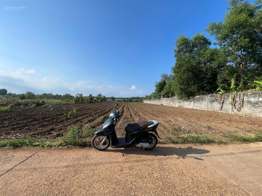 Bán 2968m2 đất cln. phường tân thành. hcm / giá 3,850 tỷ