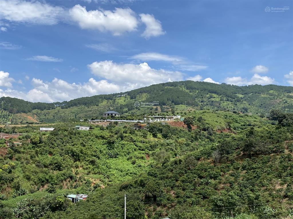 Làng nghỉ dưỡng nam ban view, f0 chỉ 850 triệu, 500m2, shr, view đồi thông, toàn thị trấn (đl4)
