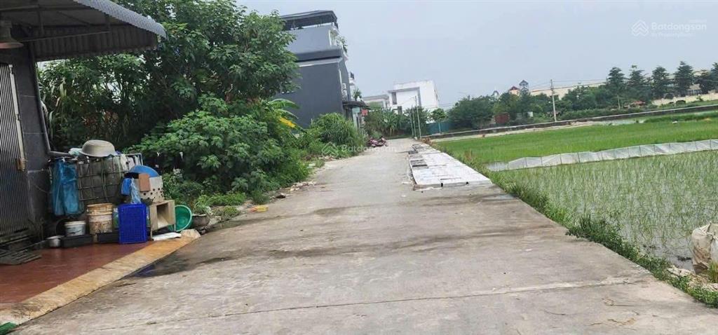 Chủ ngộp tài chính! lô đấu giá bình minh, thanh oai 78m2 gần cienco mua ngay ăn chênh ngay