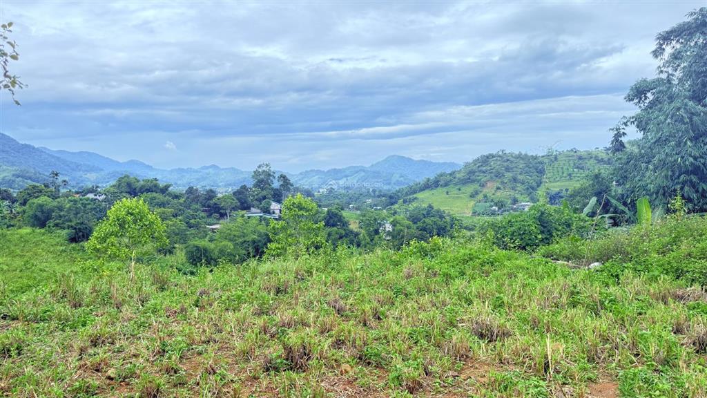 Cần bán 1422m2 đất tại cao phong, hoà bình
