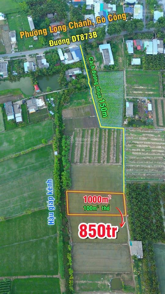 Cần bán nhanh 1000m2 đất tại phường long chánh gò công. gía 850triệu. 0901 311 ***