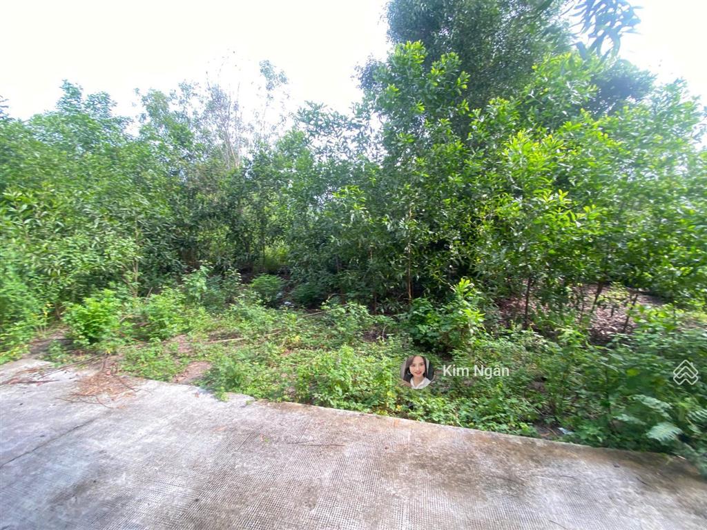 16x37m (610m2) sát biển cam bình, hẻm bê tông, giá rẻ