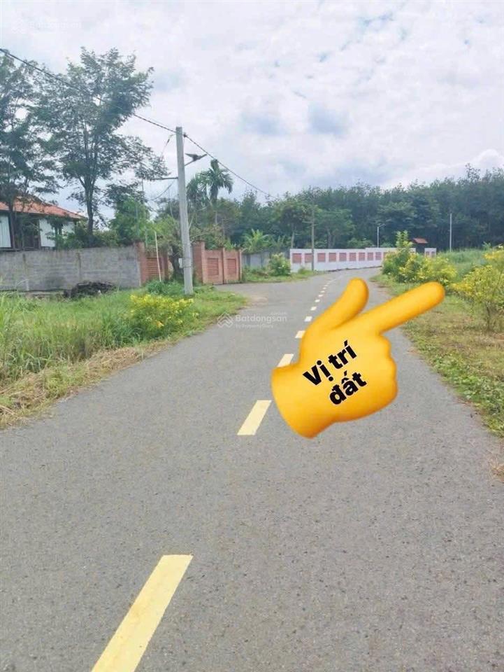 115 triệu còn thương lượng cho lô đất đường nhựa ngay đường quốc lộ và trung tâm tp đồng nai