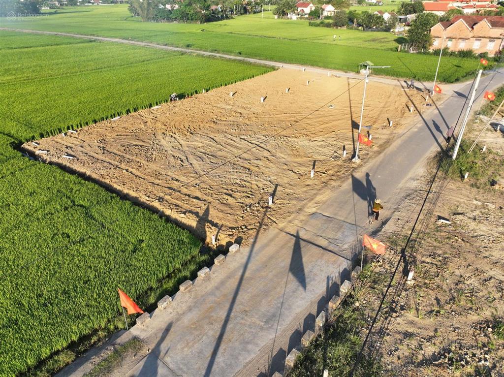 Cần bán lô đất mặt tiền đường nhựa 13m, đường hồ tùng mậu, phường hòa thắng. giá chỉ 1.85 tỷ