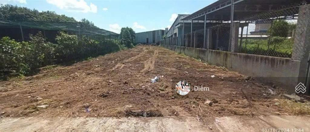 Chủ ngộp bank cần bán lô 245m2 đất đ. nguyễn văn rốp gần trung tâm tx trảng bàng giá 800tr, shr
