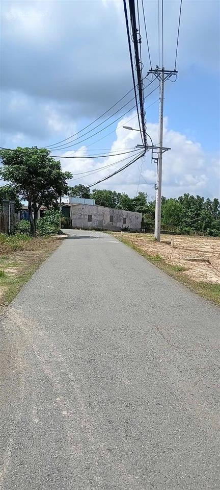Bán 1.000m2 đất vườn cây trôm mỹ khánh nhỉnh 2 tỷ (chỉ hơn 2tr/m). vị trí mặt tiền nhựa