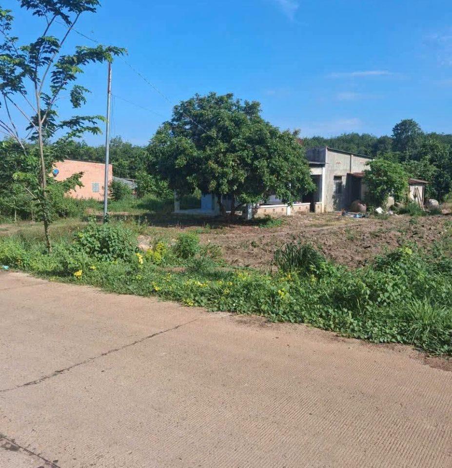 CẦN BÁN GẤP 20x50=1.000M2, SỔ SẲN, CÔNG CHỨNG NGAY, KHU DÂN ĐÔNG