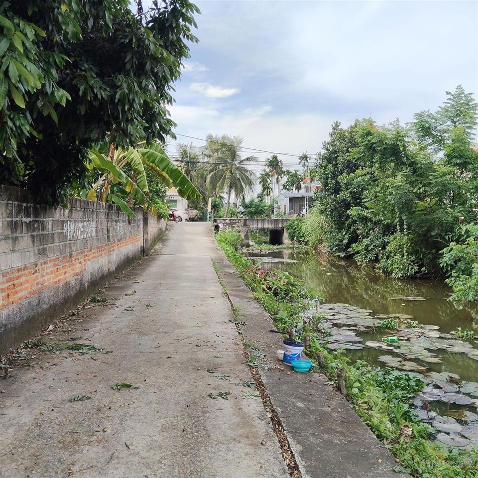 Bán đất lâm động cách đường 203 chỉ 20 m dt 143 m ngang 5 đường thông ô tô chạy vèo vèo giá cực t