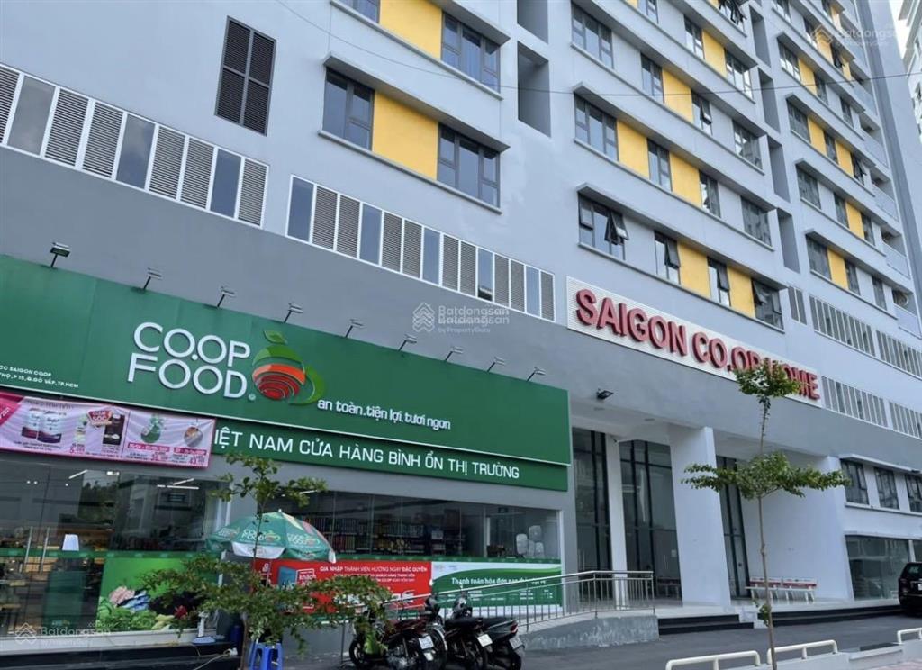 Chung cư sài gòn coop gò vấp (đối diện osimi) 63m2 giá 3.15 tỷ giá tốt thị trường