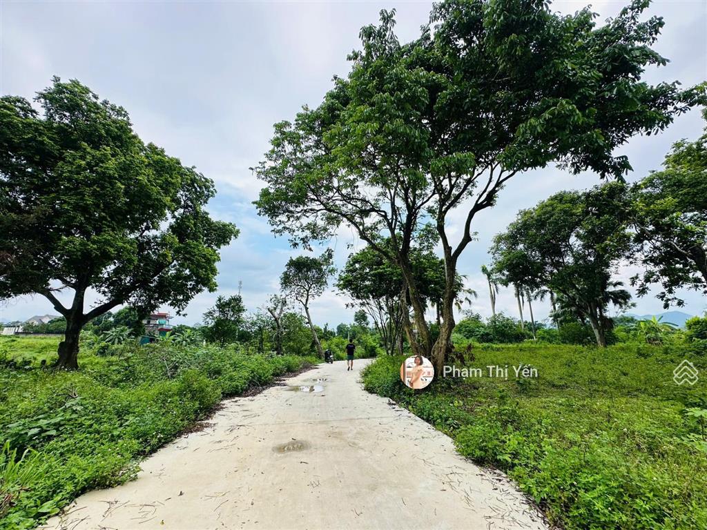 Bán cắt lỗ diện tích 502m2/100m2 ont tại khu nghỉ dưỡng oasis nhuận trạch, lương sơn. giá 3.3 tỷ