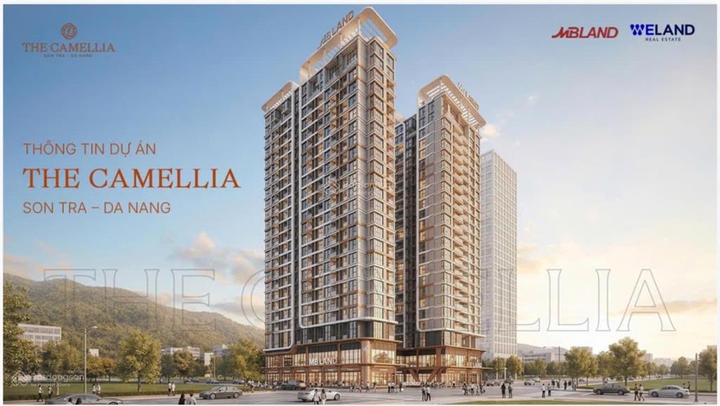 Chính thức nhận booking the camellia sơn trà đà nẵng, view trực diện biển sơn trà