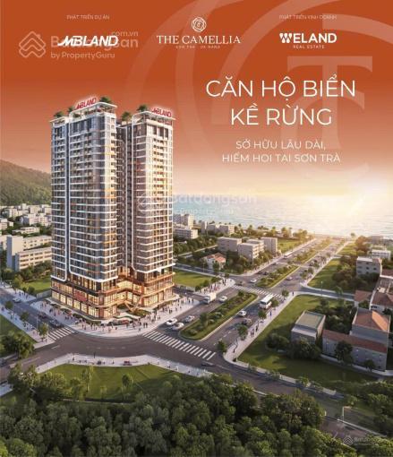 Chuyên bán dự án căn hôn biển ngay núi sơn trà giá từ 1,950 tỷ căn studio