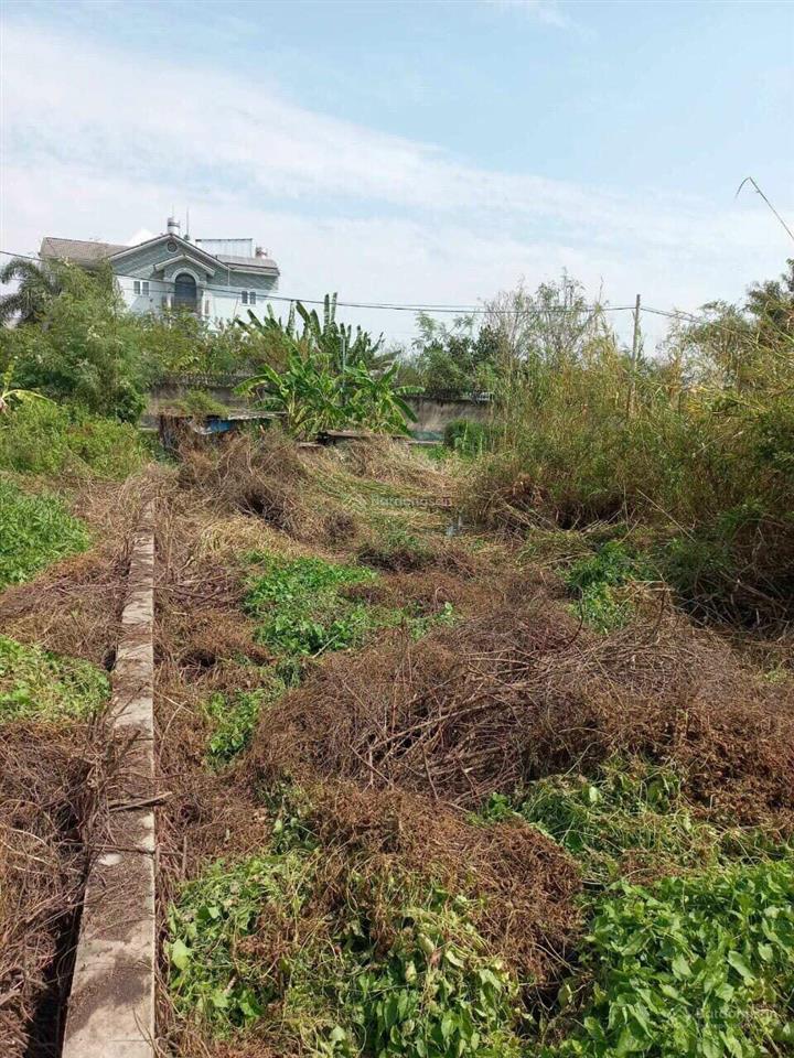 Cần bán nhanh lô đất ở tân kim cần giuộc diện tích 80m2 giá 530 triệu sổ hồng riêng ô tô tới đất