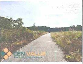 Bán đất tại long hòa, tp hồ chí minh