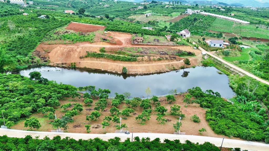 1.000m2 đất view hồ nam ban ven đà lạt sẵn thổ cư 150m2 chỉ 1tỷ650 (lđ11), sẵn vườn cây ăn trái