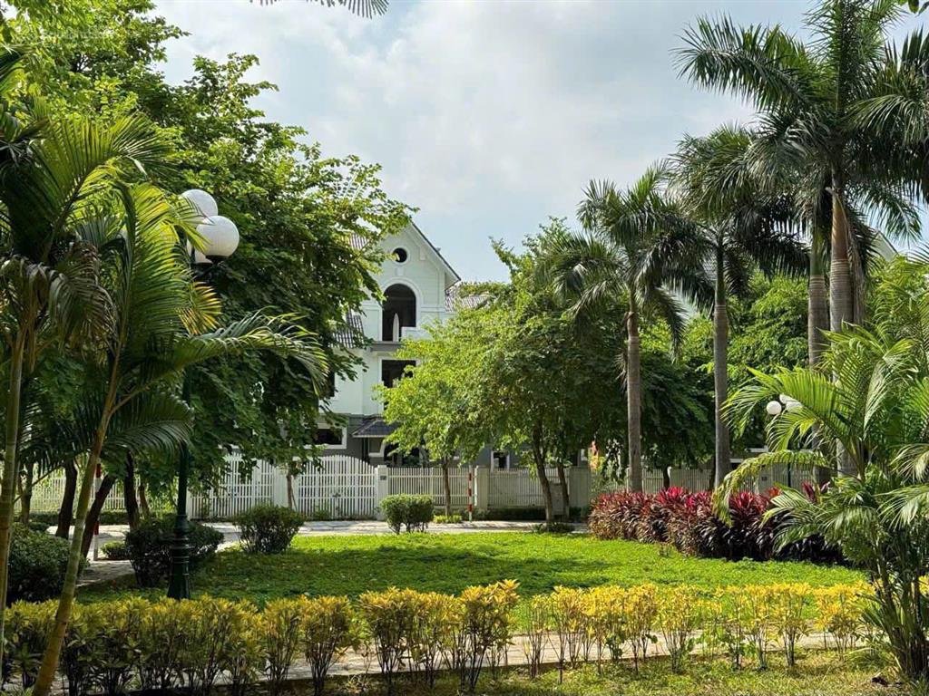 Bán gấp biệt thự 240m2, 56 tỷ tại khu b geleximco lê trọng tấn, hà đông