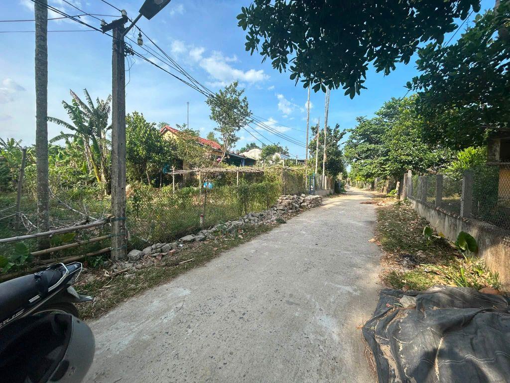CẶP LÔ LIỀN KỀ 300M² FULL ĐẤT Ở SAU CHỢ LẠC THÀNH GIÁ CHỈ 690 TRIỆU/LÔ