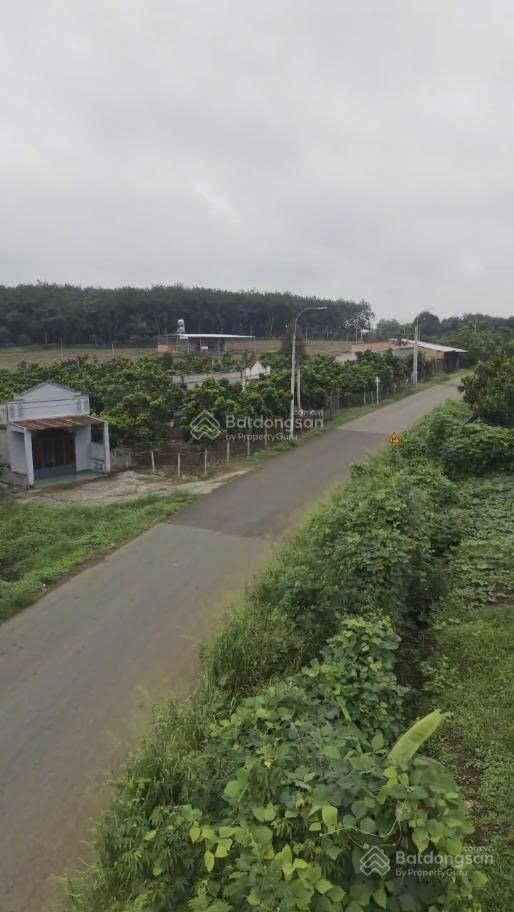 Bán 7500m2 đất ở đô thị 100% có sẵn 300m2 thổ, bình lộc, đồng nai, 866tr/1 sào mặt tiền đường nhựa