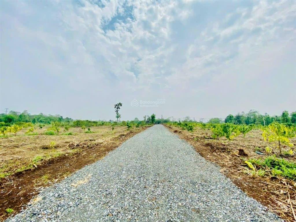 Bán gấp đất trồng cây tại xã m'roh, huyện cư m'gar, đắk lắk, 210 triệu, 600m2