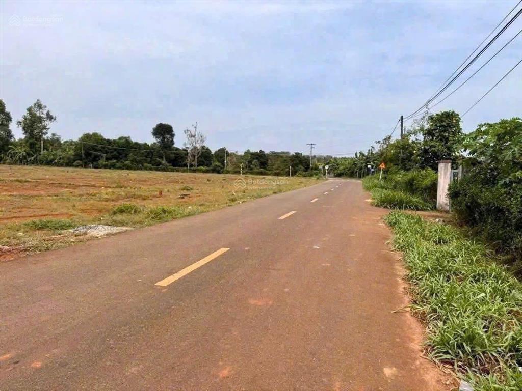 Lô đất sào đẹp mặt tiền đường nhựa khu nhà vườn nghỉ dưỡng long phước, tp. bà rịa