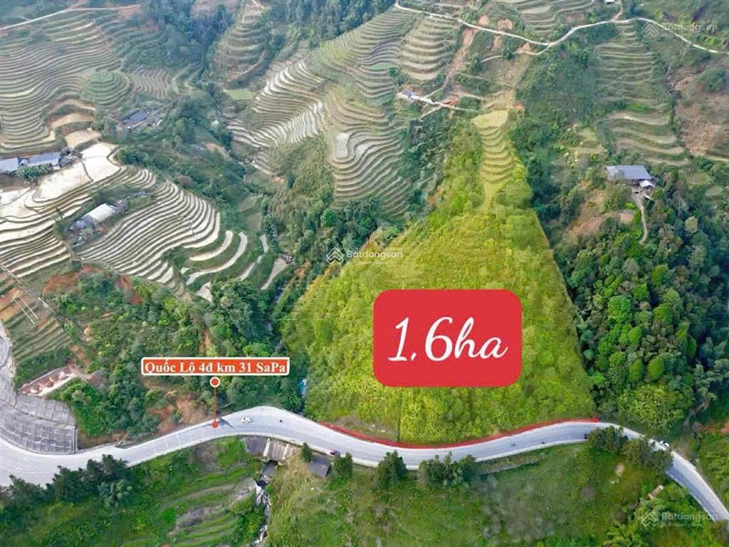 Chính chủ bán hơn 1,6ha đất ngay mt quốc lộ 4d ngay cầu 31