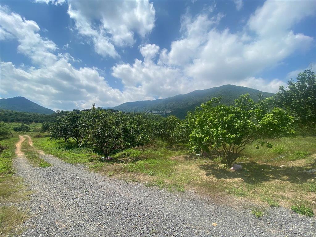 Bán đất tại xã ninh hưng, thị xã ninh hòa (nay là xã nam ninh hòa), tỉnh khánh hòa