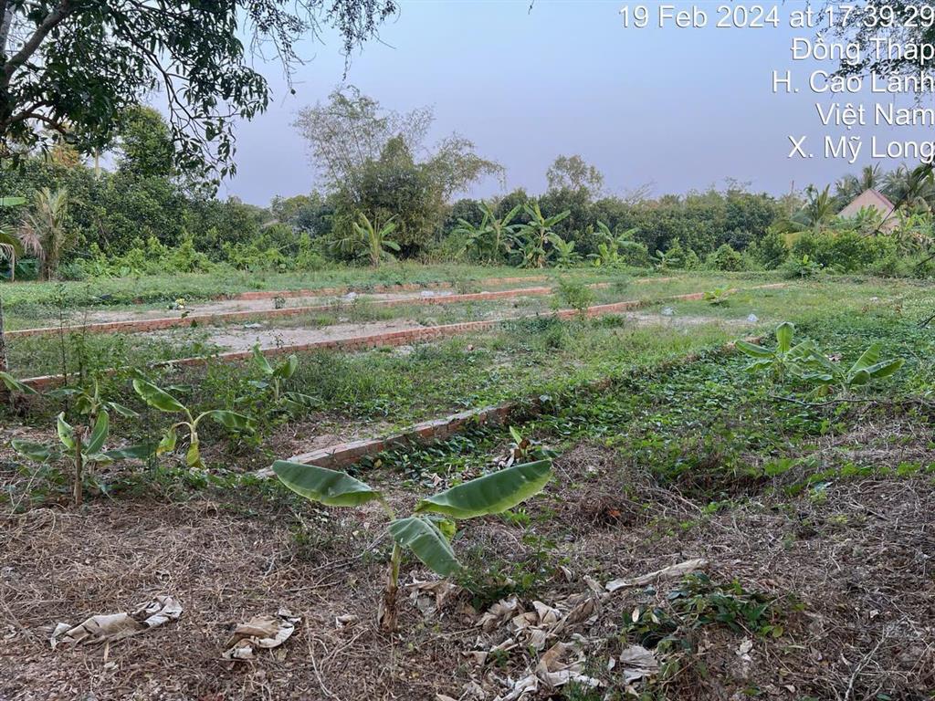 Bán đất xã mỹ long, huyện cao lãnh sổ đỏ, phân lô từng nền, kết hợp với các bạn môi giới 2.5%