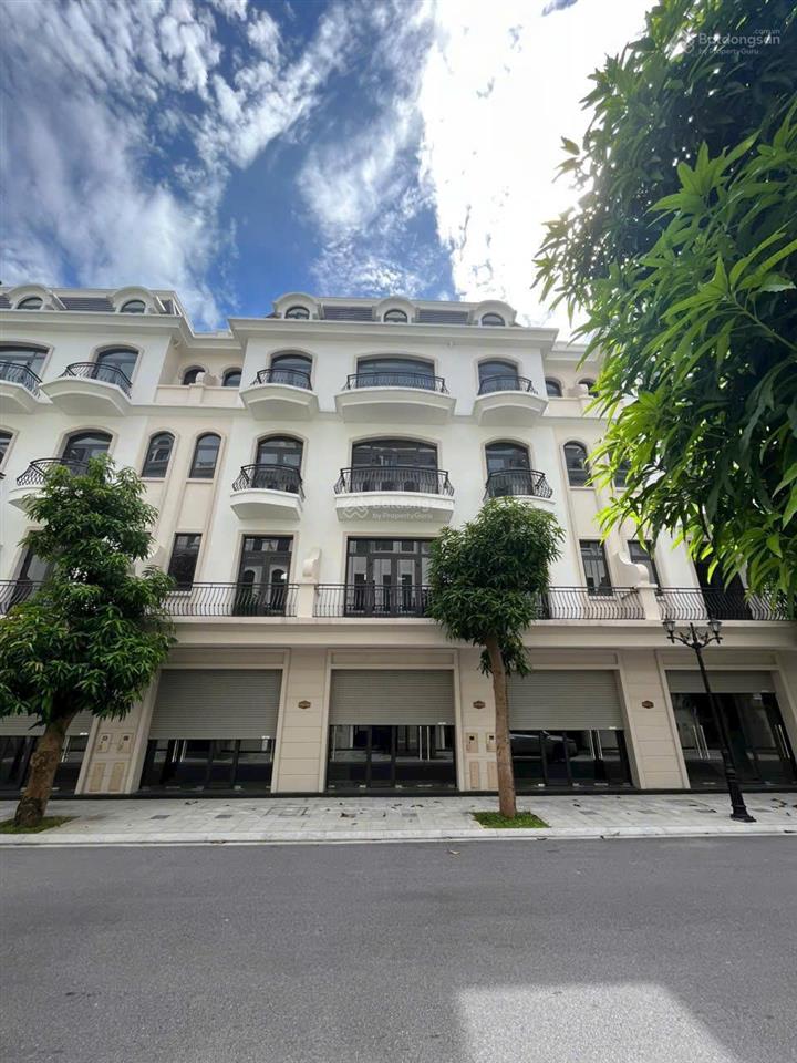 Shophouse sao biển 58,5m sổ đỏ lâu dài vinhomes ocean park 2 7,9 tỷ
