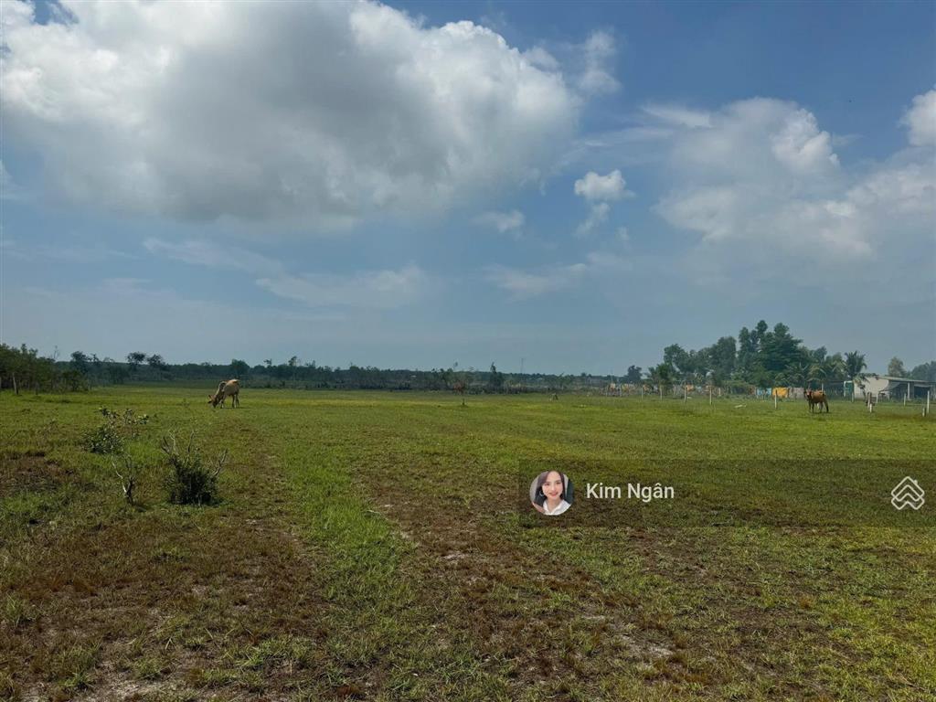 Bán 40x32m (1297m2) gần biển giá tốt tân bình lagi phủ hồng đường ô tô