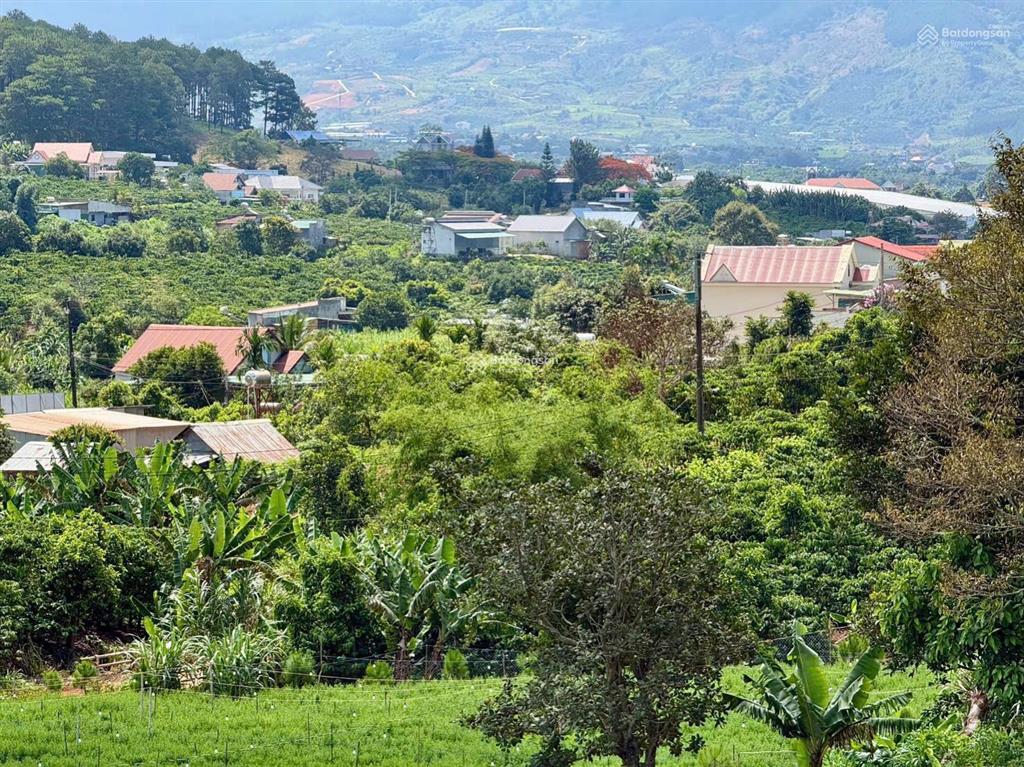 Bán đất ngay chùa linh ẩn nam ban cách 900m, view đẹp, giá chỉ 580 triệu, sẵn 103m2 thổ cư (lđ8)