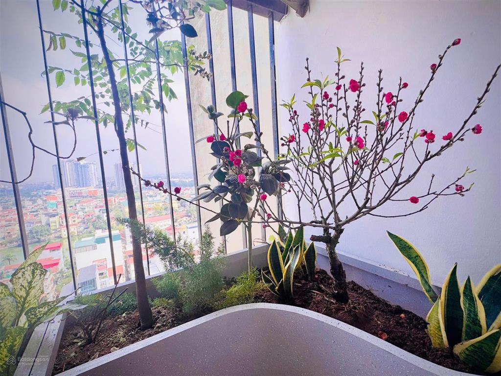Bán căn hộ chung cư tòa a3 chung cư 151 nguyễn đức cảnh dt 70m 2pn,2va full.nội thất 098925003