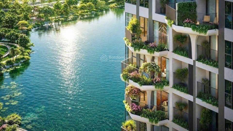 Forest onsen eco retreat mở bán căn 1pn giá tốt chỉ 2,3 tỷ, chiết khấu đến 13%
