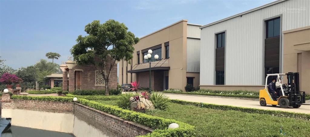 Bán kho, nhà xưởng tại phúc thọ, hà nội giá 55 tỷ, 5664 m2, mặt tiền 20m, ngõ 7m, pháp lý đầy đủ
