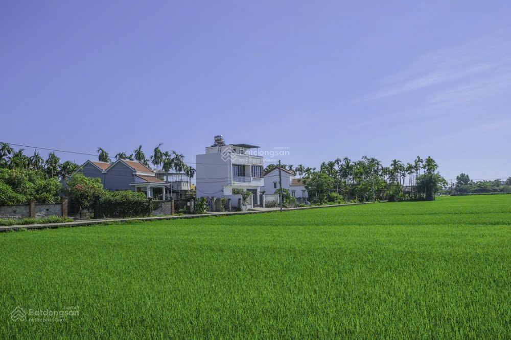 Bán đất hội an tặng nhà view cánh đồng cẩm thanh mát mẻ không ngập lụt.