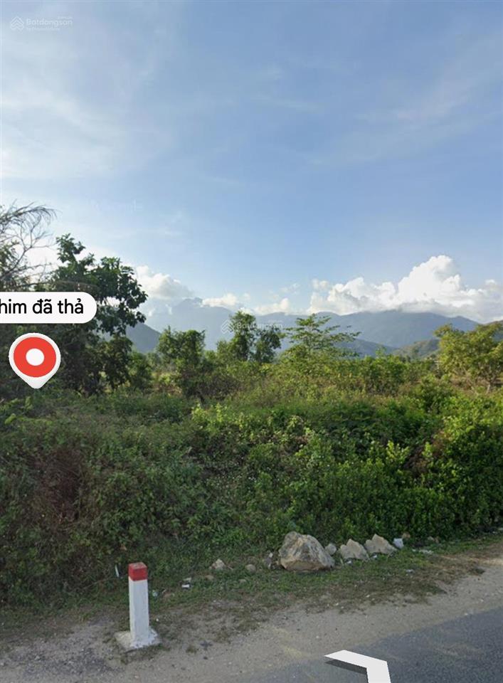 Bán đất thôn xuân tự 2, vạn hưng, vạn ninh. dt 494,1m2 ngang 15m (đất cây hàng năm).