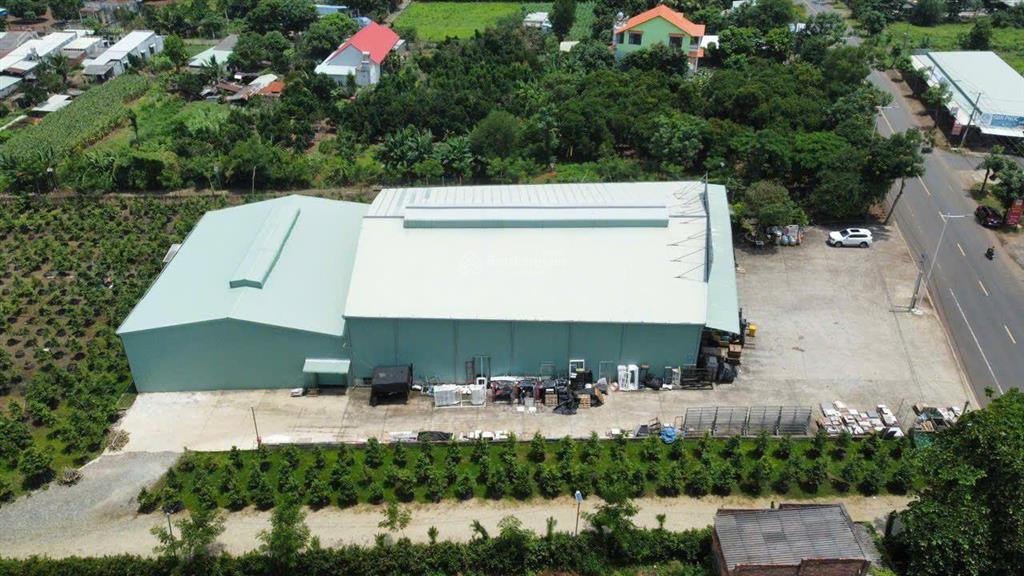 Bán kho xưởng ql 56 dt 1,6 hecta 1000 tc & mt 281m tổng thể có 2000 gốc mai và hồ câu cá giải trí